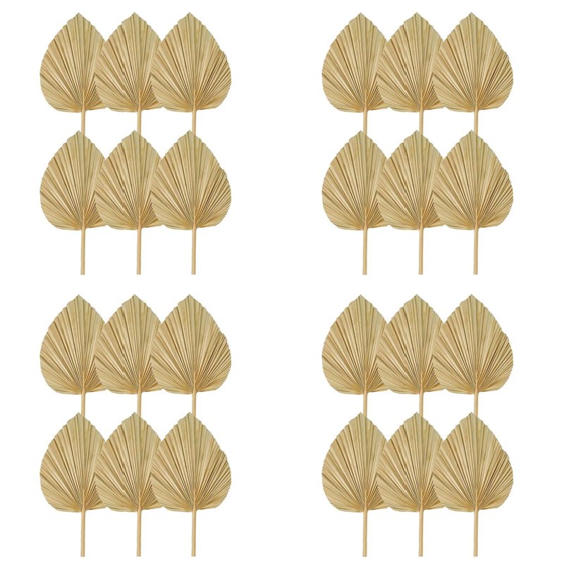 Palm Leaf Dried - 【NATAL】24 PEÇAS Folhas de Palmeira Secas