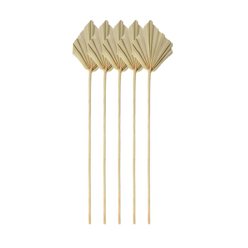 Palm Leaf Dried - A67P-Boho Pequenas Leques de Palma Seca