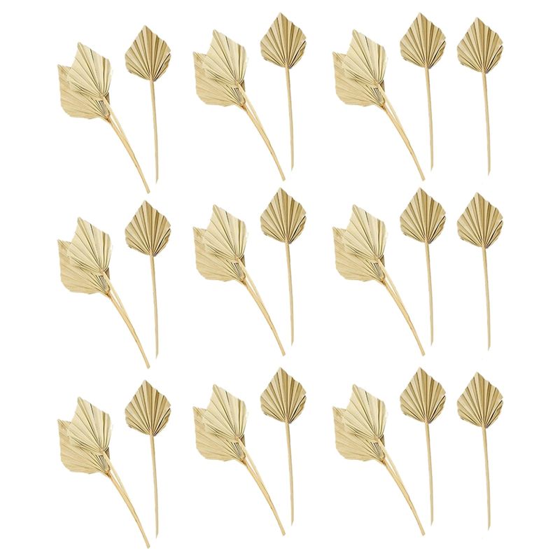 Palm Leaf Dried - A36T-30 Peças de Leques de Palma