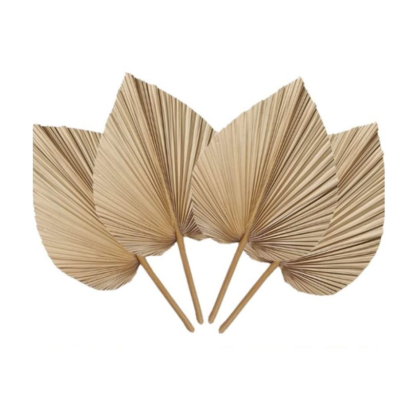 Palm Leaf Dried - A27F-6 Peças de Folhas de Palmeira