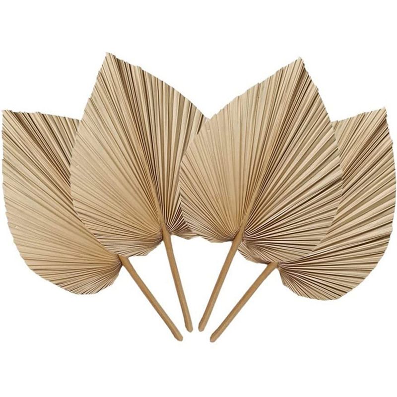Palm Leaf Dried - Novas Folhas de Palmeira Naturais Secas