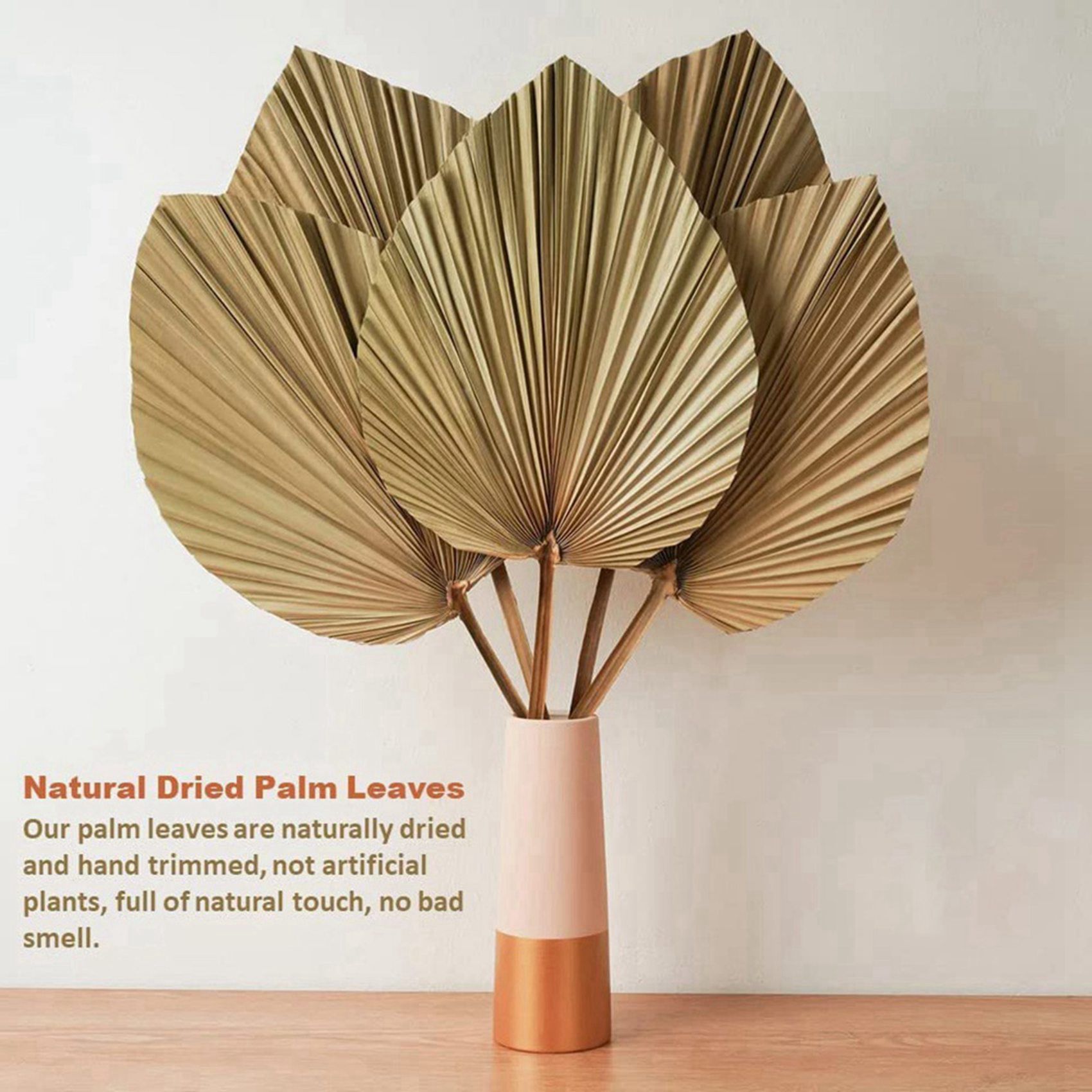 8 Peças de Folhas de Palmeira  - Palm Leaf Dried avaliação e preço