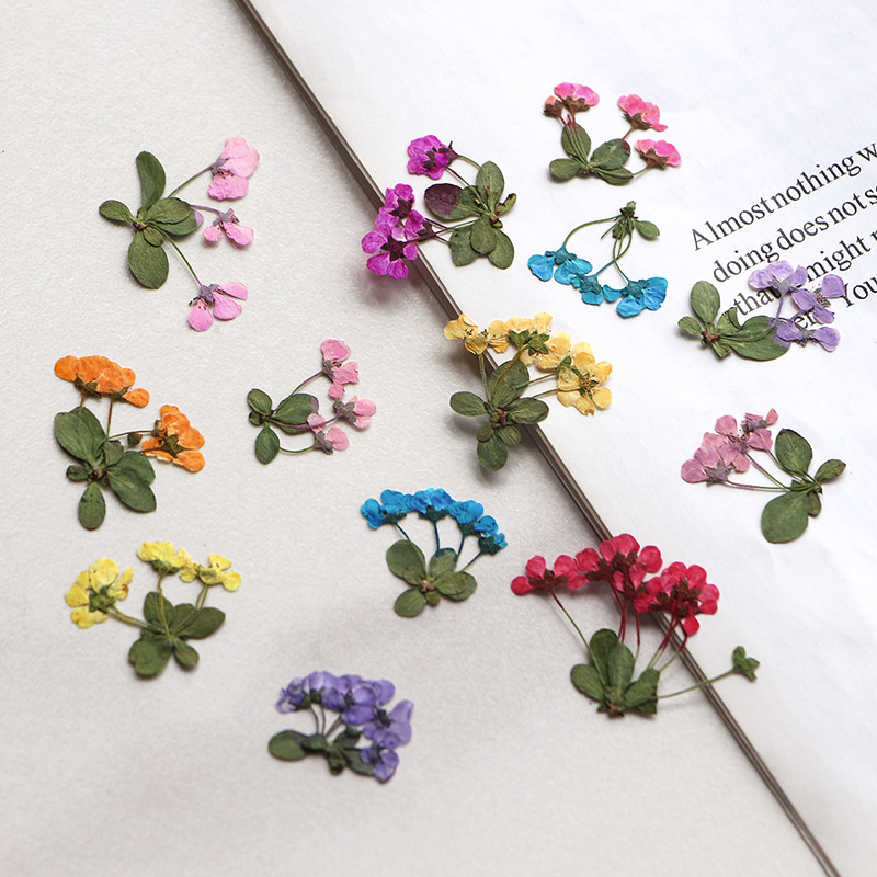2-3cm/12pcs, Pequenas Flores P - Supply For Florist avaliação e preço