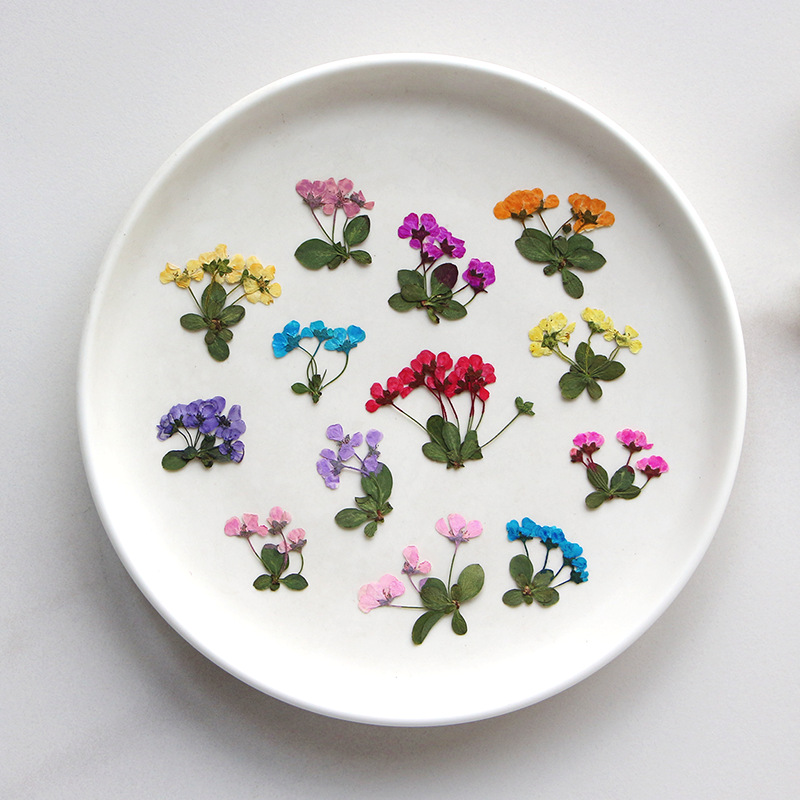 2-3cm/12pcs, Pequenas Flores P - Supply For Florist avaliação e preço