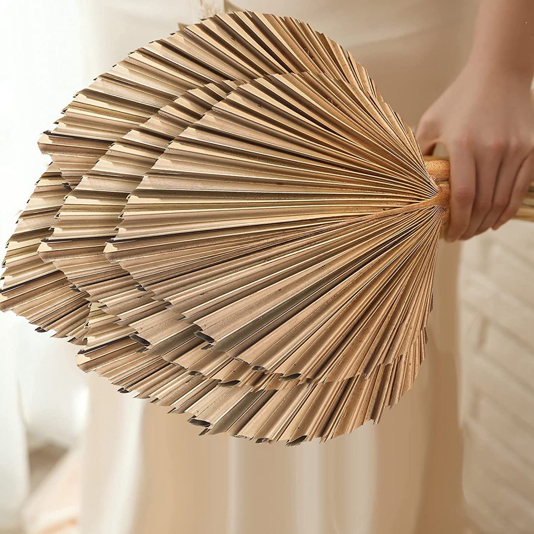 5 pçs folhas de palmeira secas - Palm Leaf Dried avaliação e preço