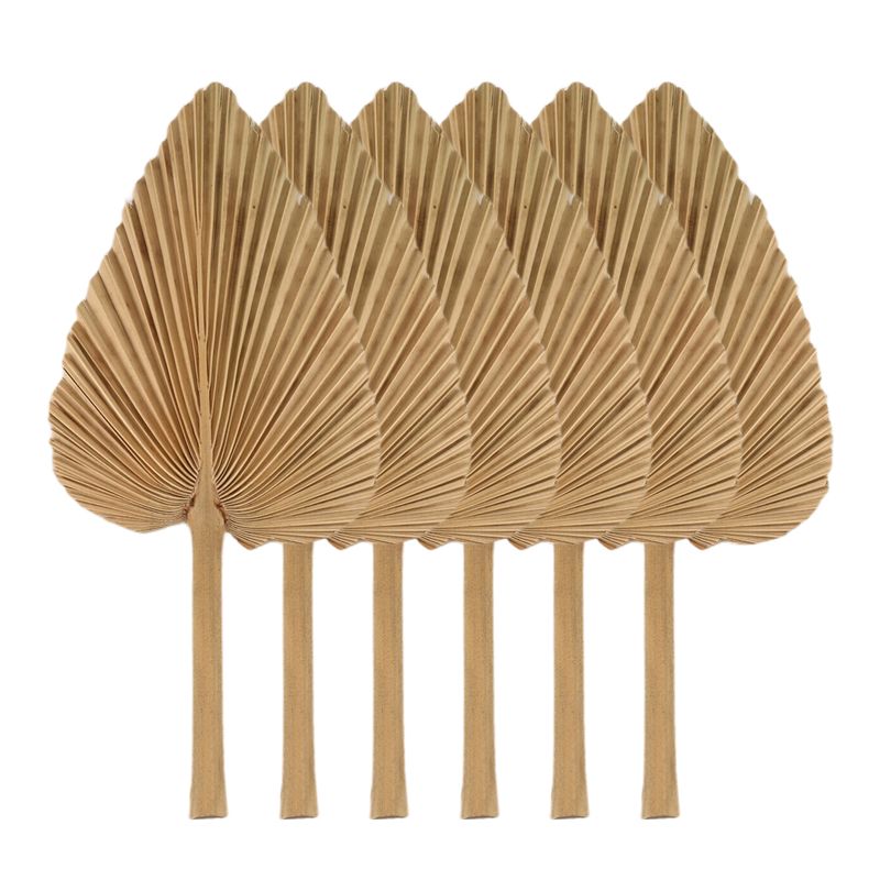 AT84-6PCS Folhas de Palmeira S - Palm Leaf Dried avaliação e preço