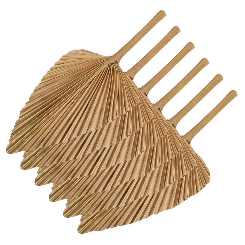 AT84-6PCS Folhas de Palmeira S - Palm Leaf Dried avaliação e preço
