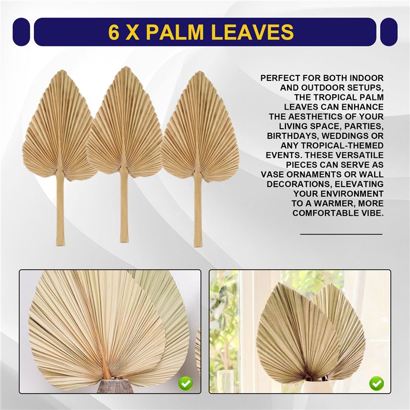 AT84-6PCS Folhas de Palmeira S - Palm Leaf Dried avaliação e preço