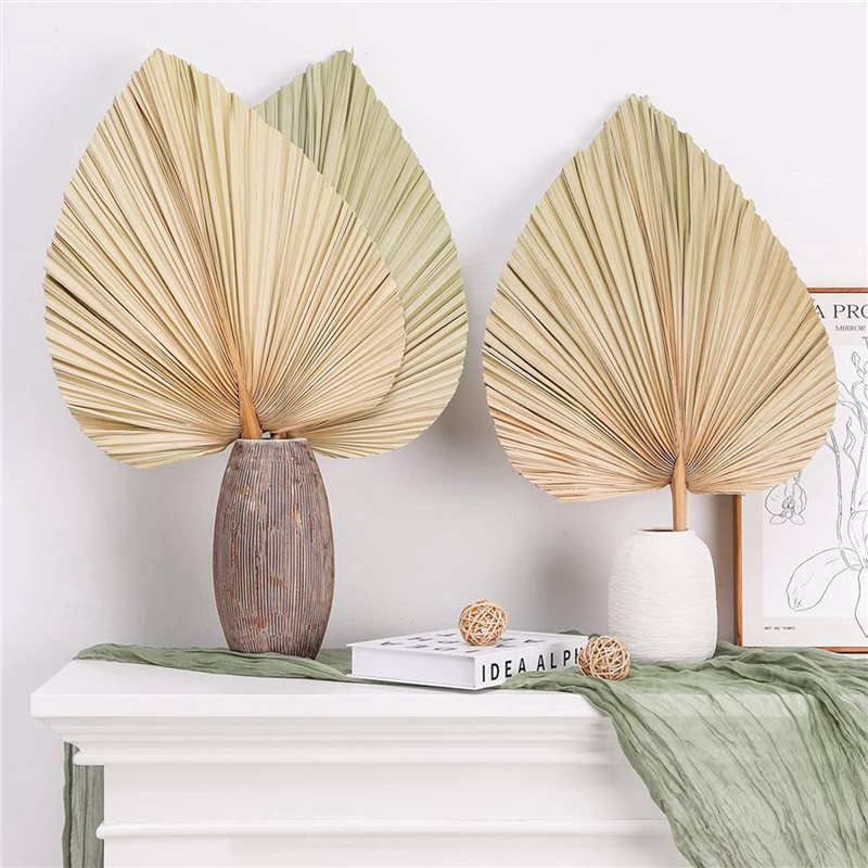 【NATAL】24 PEÇAS Folhas de Palm - Palm Leaf Dried avaliação e preço