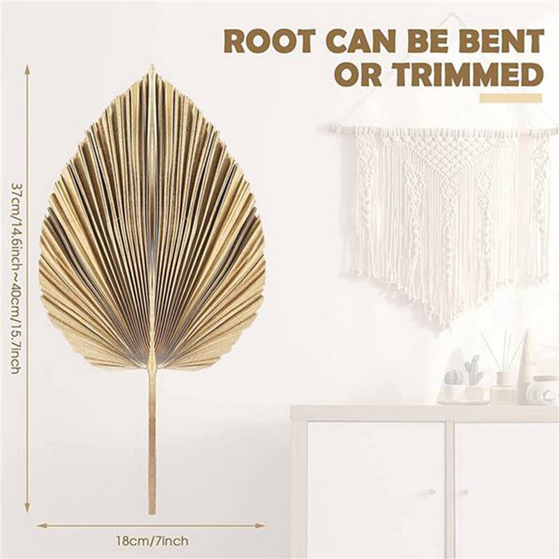 【NATAL】24 PEÇAS Folhas de Palm - Palm Leaf Dried avaliação e preço