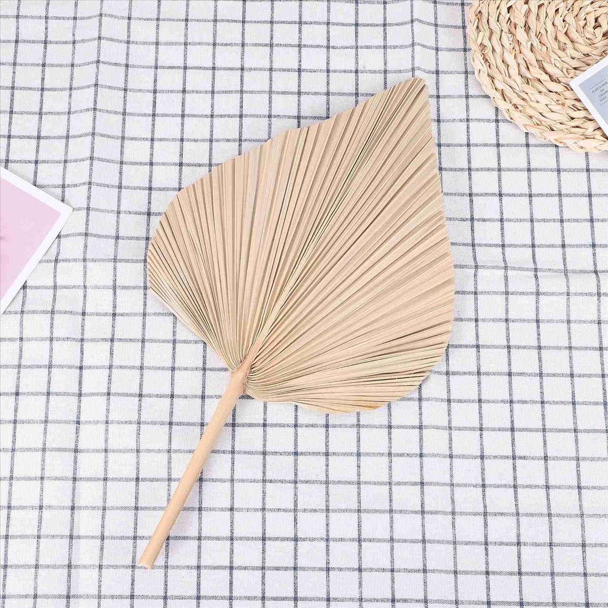Folhas de Palmeira Secas NOCM  - Palm Leaf Dried avaliação e preço