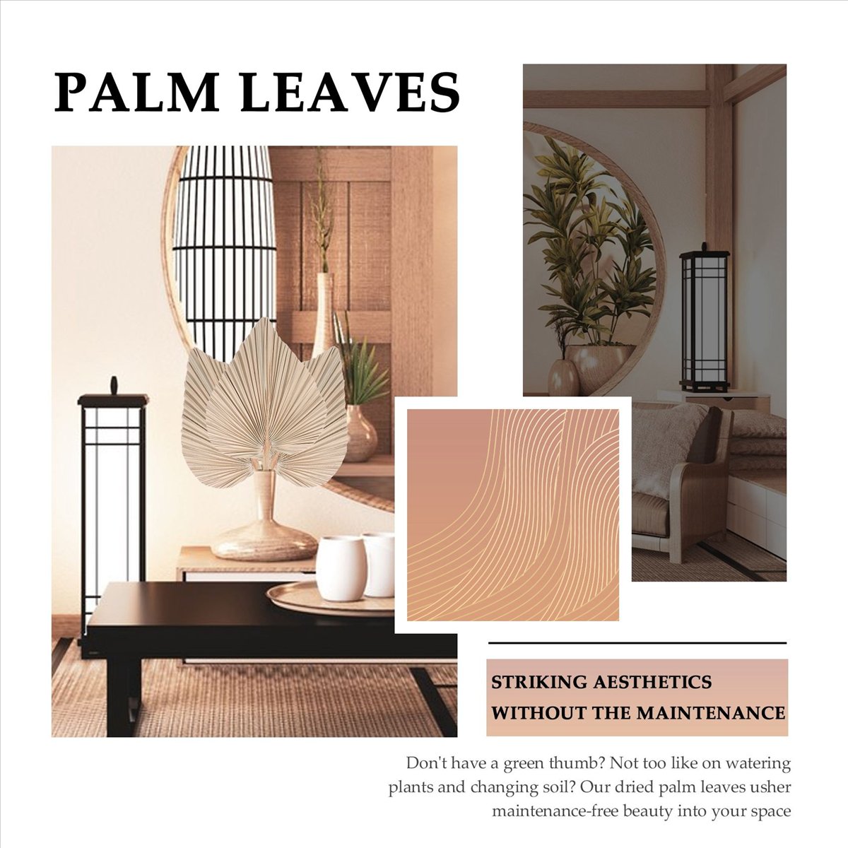 Folhas de Palmeira Secas NOCM  - Palm Leaf Dried avaliação e preço