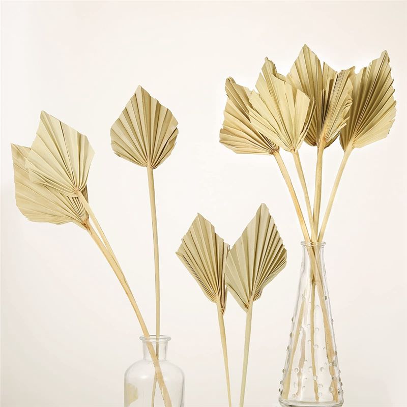ABYN-Boho Pequenas Leques de P - Palm Leaf Dried avaliação e preço