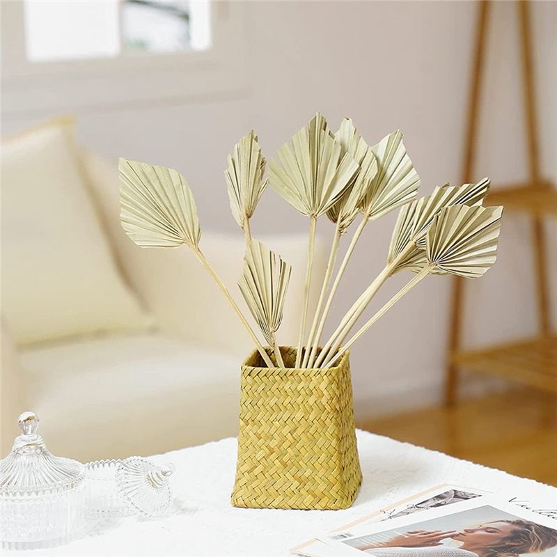 AS60-30 Peças de Palmeiras Sec - Palm Leaf Dried avaliação e preço