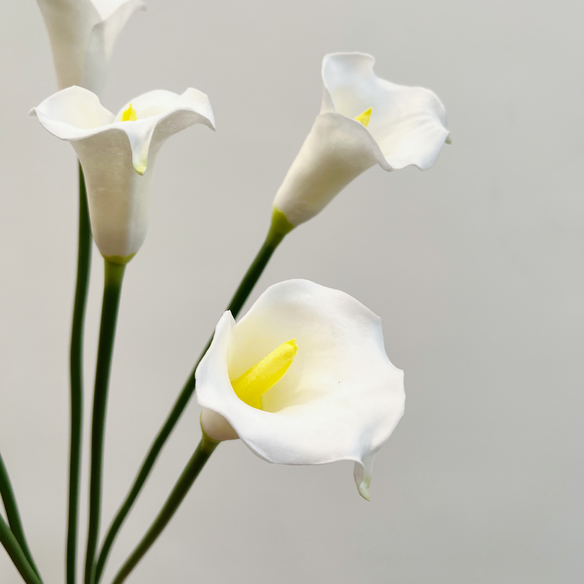 Flor Artificial de Lírio Calla - Supply For Florist avaliação e preço