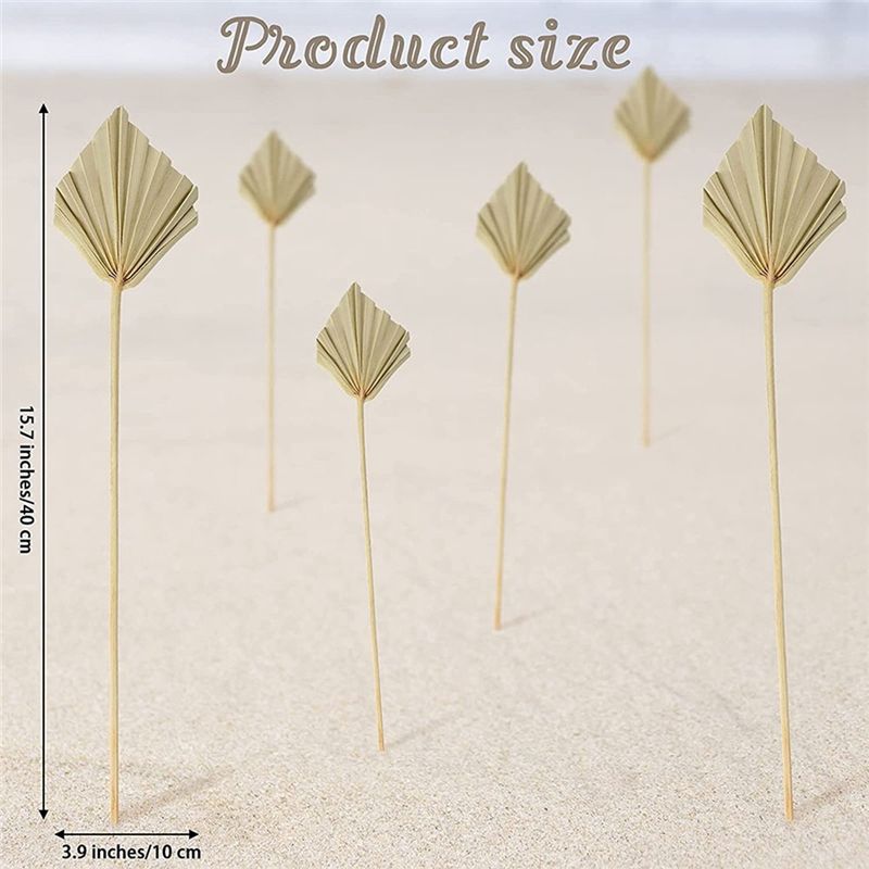 A36T-30 Peças de Leques de Pal - Palm Leaf Dried avaliação e preço