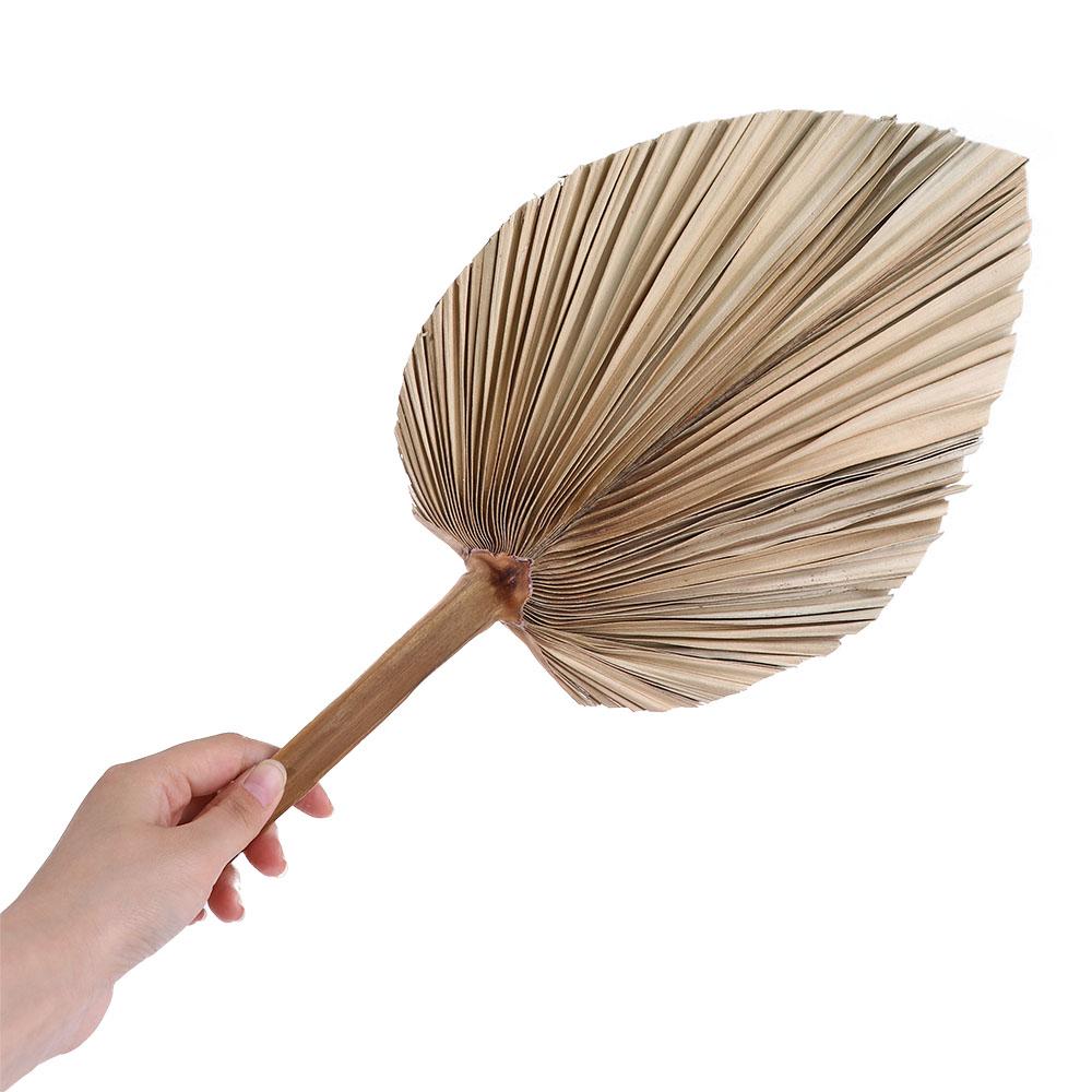 Folhas Secas de Palmeira Natur - Palm Leaf Dried avaliação e preço