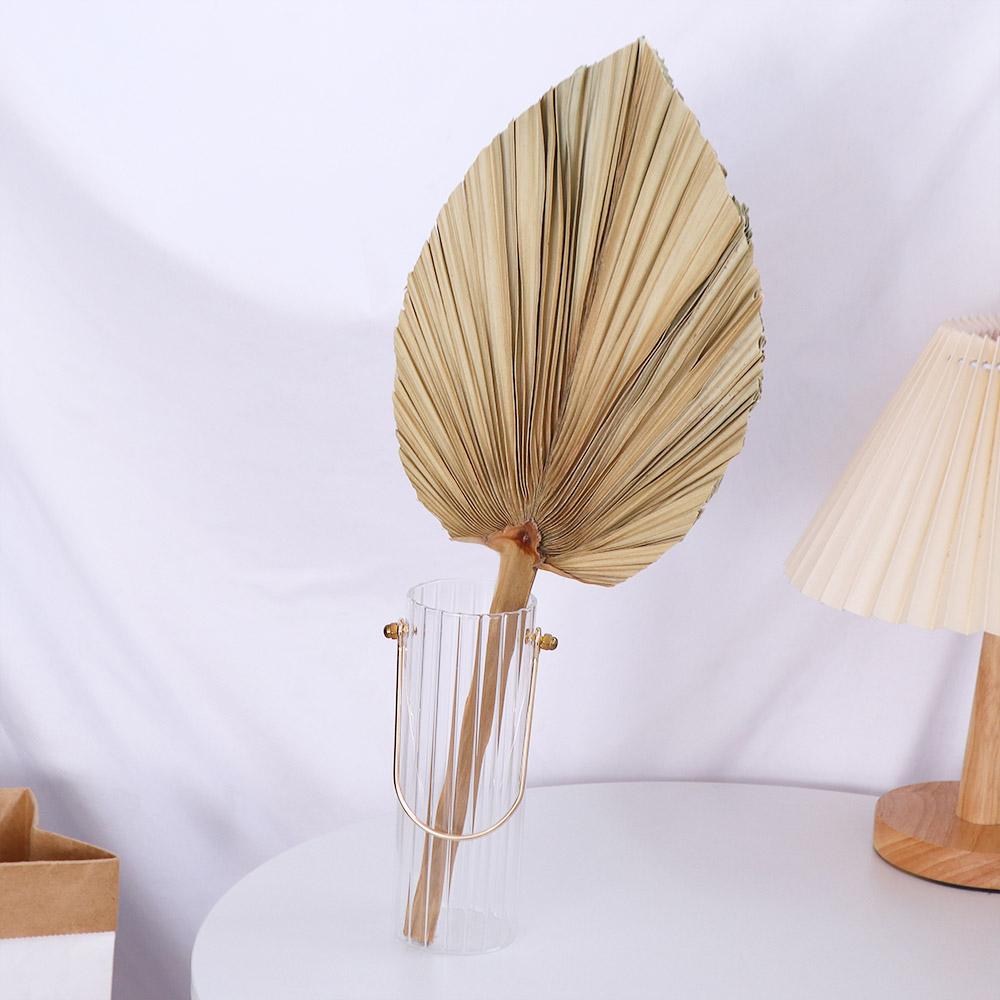 Folhas Secas de Palmeira Natur - Palm Leaf Dried avaliação e preço