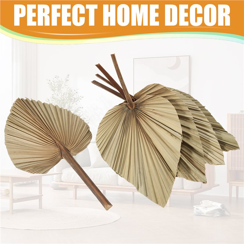 SEWS-5 Peças de Folhas de Palm - Palm Leaf Dried avaliação e preço