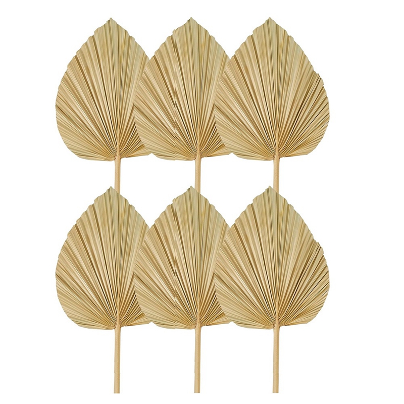 Novo 6 pçs folhas de palmeira  - Palm Leaf Dried avaliação e preço