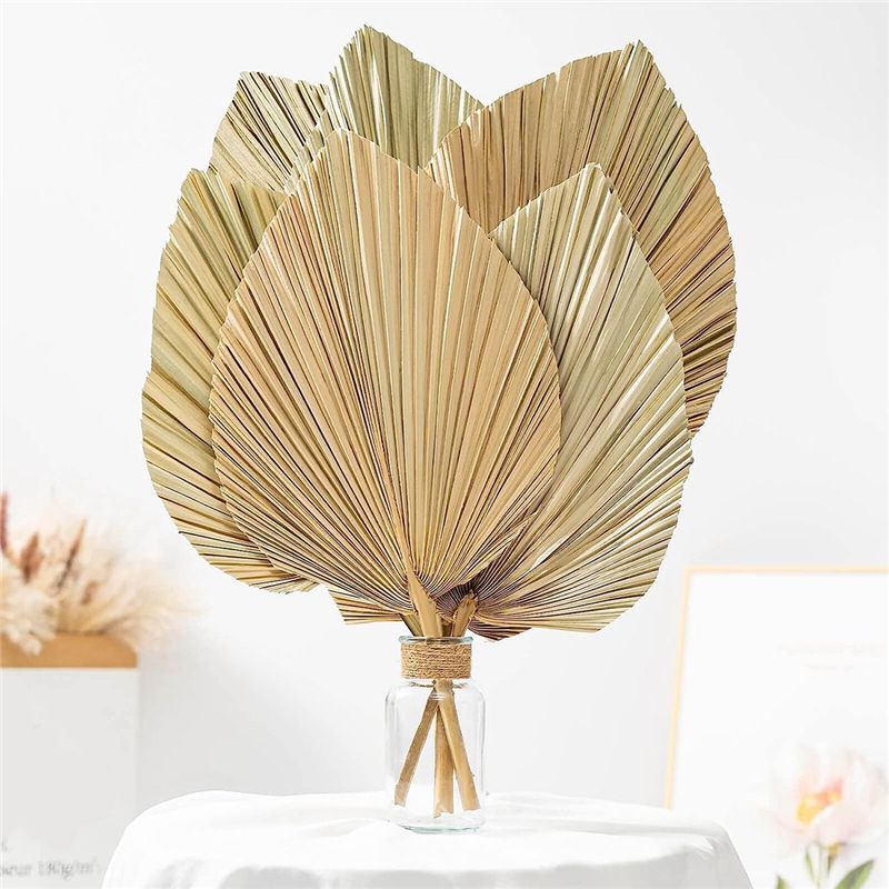 A27F-6 Peças de Folhas de Palm - Palm Leaf Dried avaliação e preço