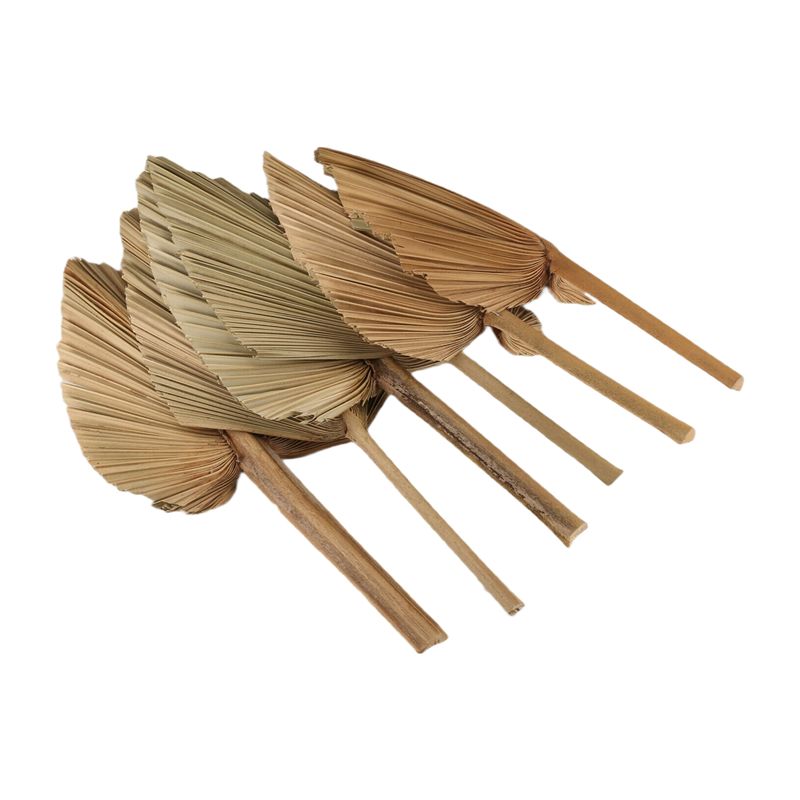 ABKO-6PCS Folhas de Palma Seca - Palm Leaf Dried avaliação e preço