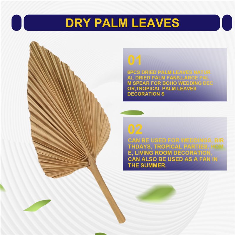 ABKO-6PCS Folhas de Palma Seca - Palm Leaf Dried avaliação e preço