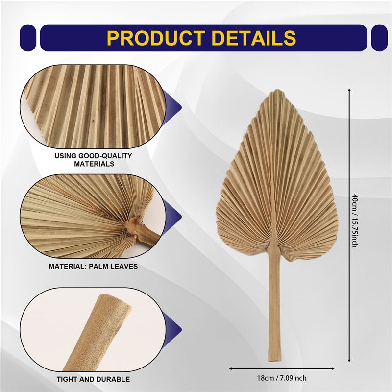 ABKO-6PCS Folhas de Palma Seca - Palm Leaf Dried avaliação e preço