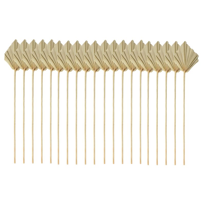 LICE-Boho Leques de Palma Seco - Palm Leaf Dried avaliação e preço