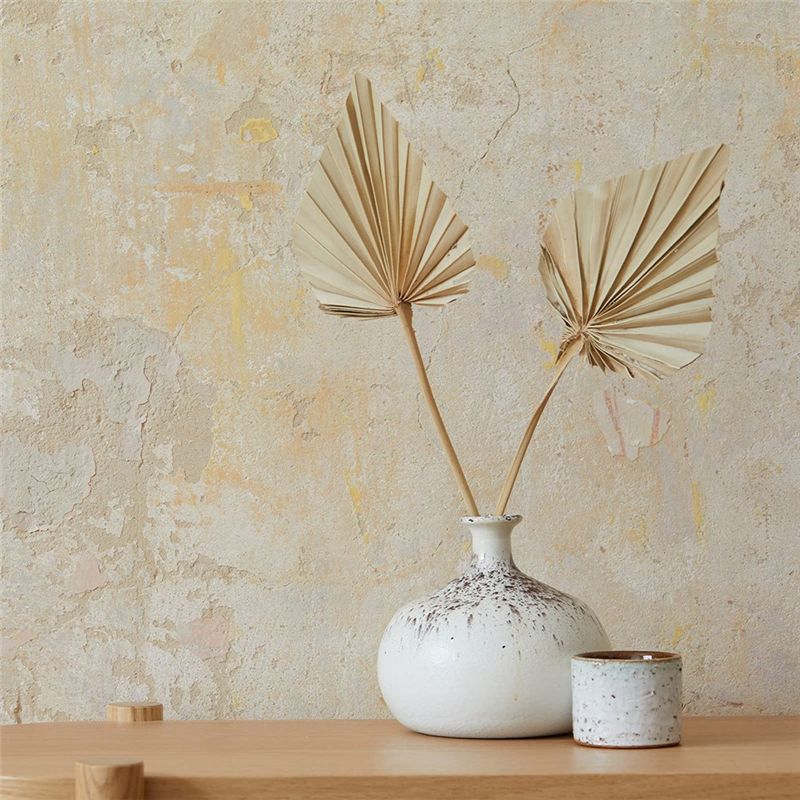 LICE-Boho Leques de Palma Seco - Palm Leaf Dried avaliação e preço