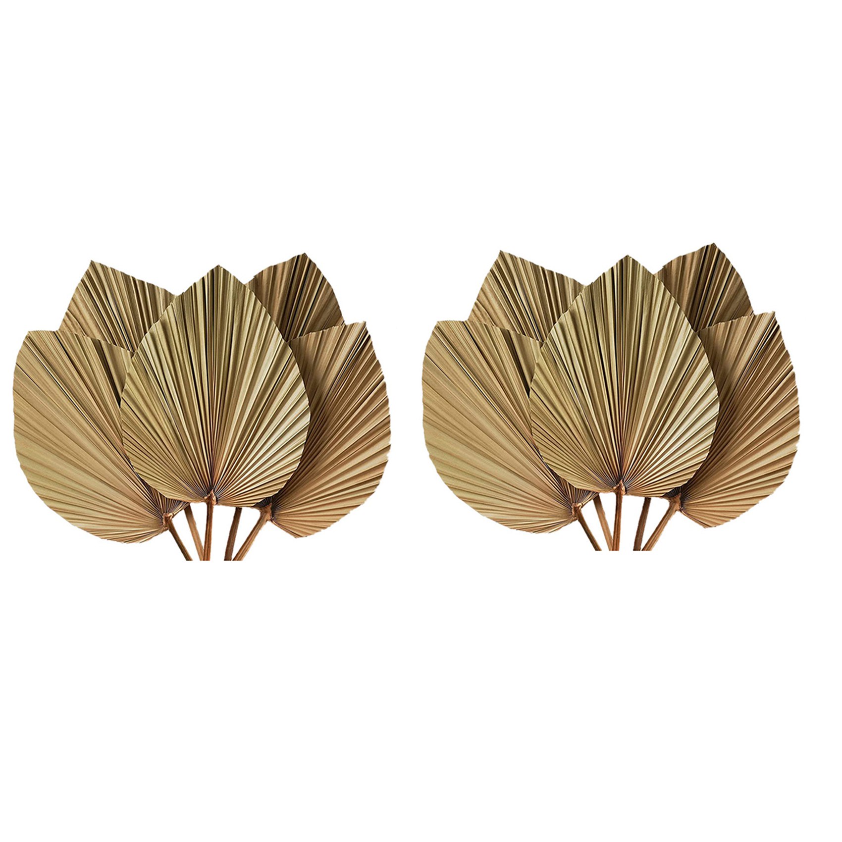 Folhas de Palma Secas para Dec - Palm Leaf Dried avaliação e preço
